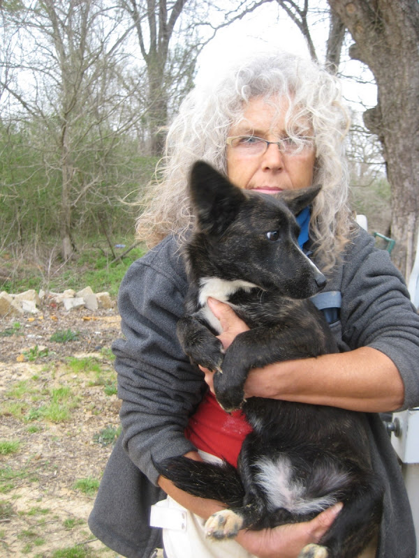 Winona, MS Pound Rescue